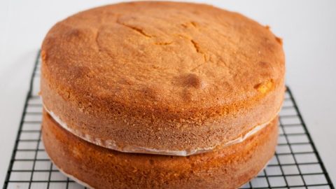 Castella Cake (Wagashi Sponge Cake) - A Spicy Perspective