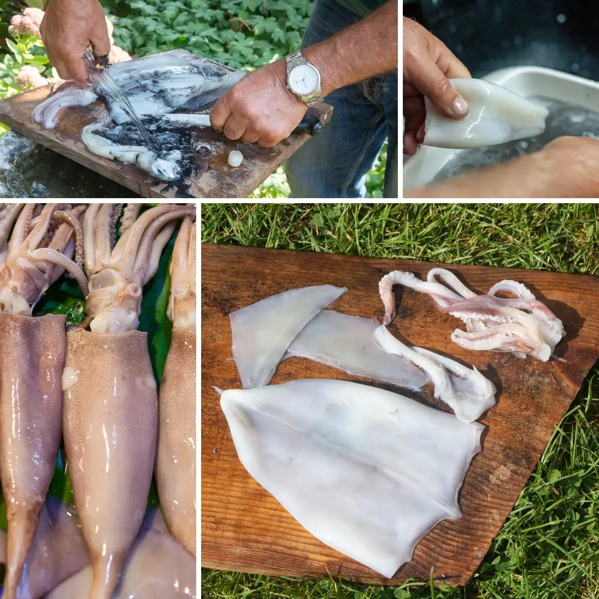 How to clean squids, calamari.