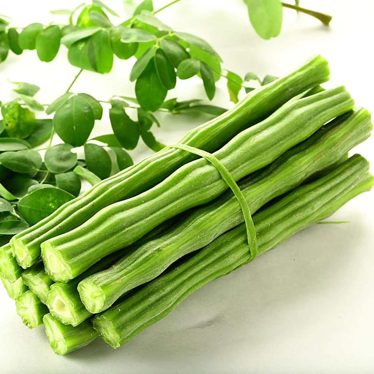 This is how a moringa or drumstick looks.